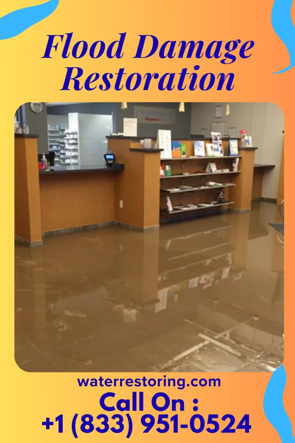 Flood Damage Restoration in Lanett, AL
